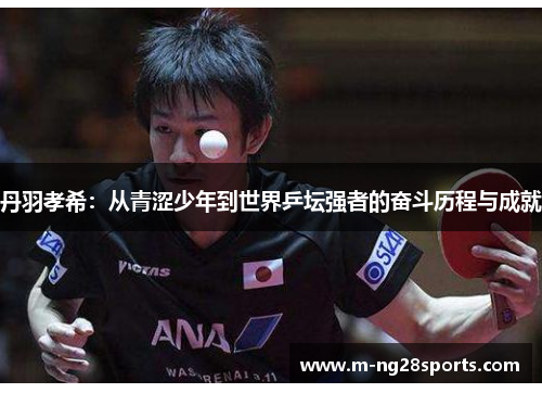 丹羽孝希：从青涩少年到世界乒坛强者的奋斗历程与成就