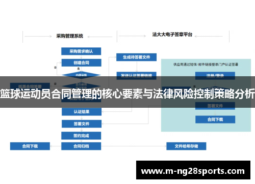 篮球运动员合同管理的核心要素与法律风险控制策略分析