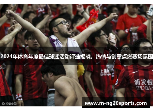 2024年体育年度最佳球迷活动评选揭晓，热情与创意点燃赛场氛围