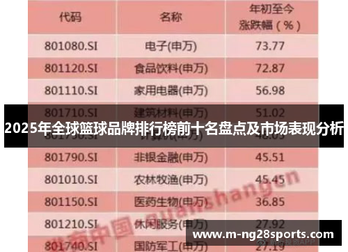 2025年全球篮球品牌排行榜前十名盘点及市场表现分析