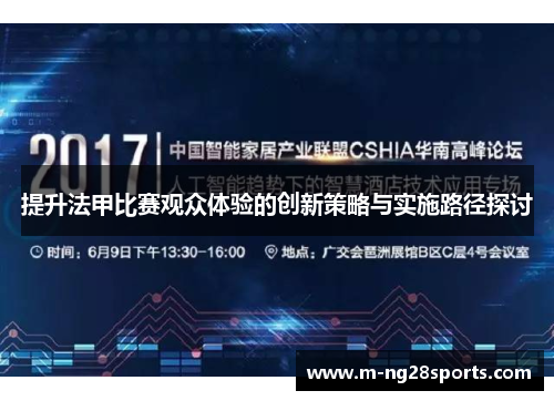 提升法甲比赛观众体验的创新策略与实施路径探讨