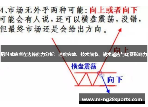 尼科威廉斯左边锋能力分析：速度突破、技术细节、战术适应与比赛影响力
