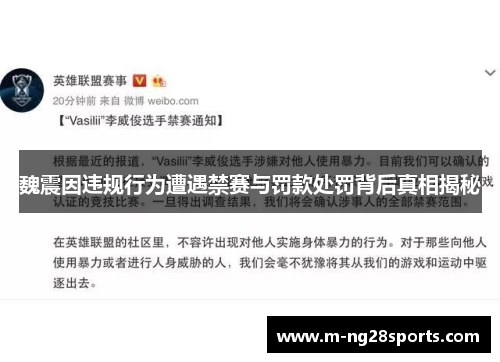 魏震因违规行为遭遇禁赛与罚款处罚背后真相揭秘