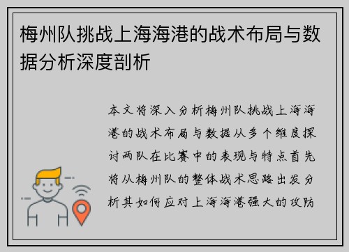 梅州队挑战上海海港的战术布局与数据分析深度剖析